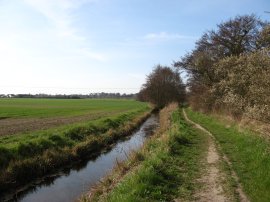 Marsh Lane, nr Deal