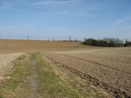 Path towards the Betteshanger Circle