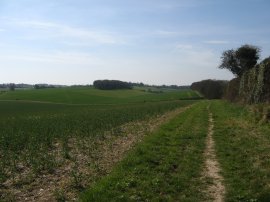 Path from Sutton Court Farm