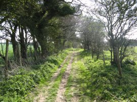 Track nr Pineham