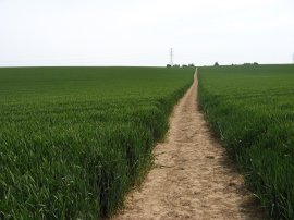 Approaching Betteshanger