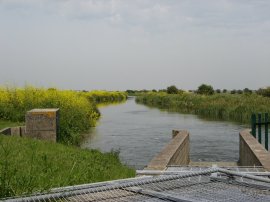 Roaring Gutter Dyke