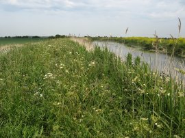 Roaring Gutter Dyke