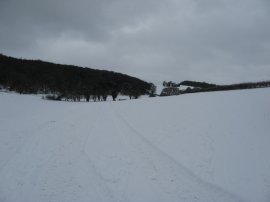 Footpath nr Flowers Bottom