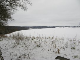 View from Lacey Green