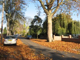 Westcoombe Avenue, New Malden