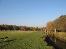 Beverley Brook in Richmond Park