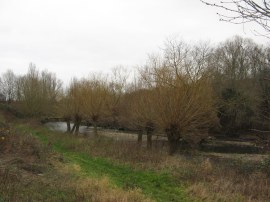 River Brent, Brent Valley Park