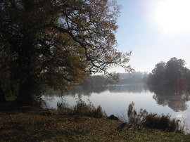 Mote Park lake