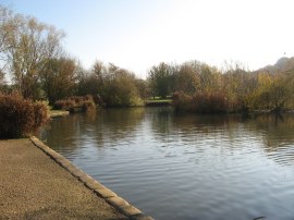 Pond besides Mallards Way
