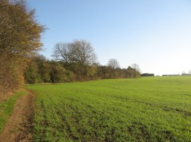 Reaching open countryside