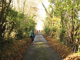 Heading along the Caring Road