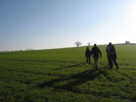 Field leaving Old Mill Road