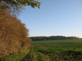 Path heading towards Chegworth Court