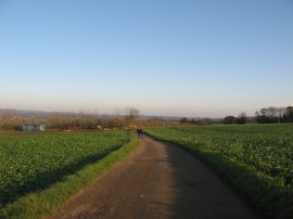 Farm track nr Chegworth Court