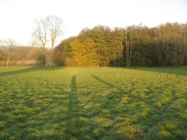 Fields approaching Runham Lane