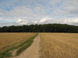 Heading towards Gusted Hall Lane