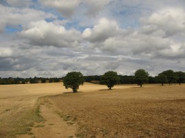 Roach Valley Way nr Gusted Hall