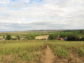 Path leading to Canewdon Road