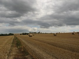 Approaching Canewdon