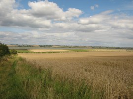 Heading down to the River Crouch