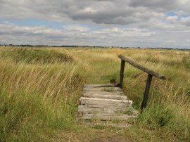 Wooden Footbridge