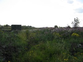 Bird hide by Lion Creek