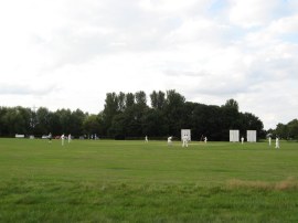 Cricket Match