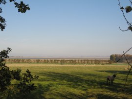 View down to the Swale Estuary
