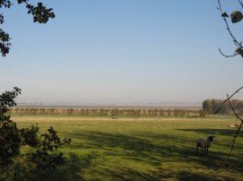 View down to the Swale Estuary