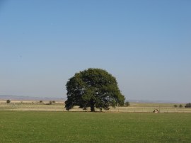 Heading towards Conyer Creek