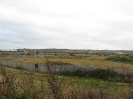Erith marshes