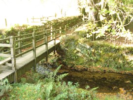 Wooden Footbridge