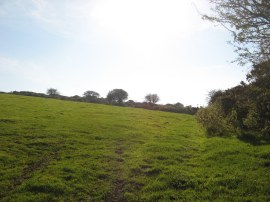 Heading up to the moors