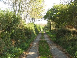 Lane nr Trewint