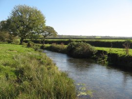 River Camel