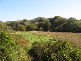 Approaching the River Camel