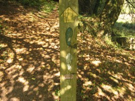 Walk Waymark