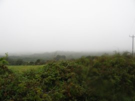 Looking north towards Delabole