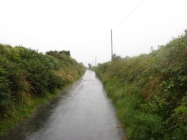 A rather damp moorland lane