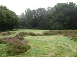 Galleywood Common