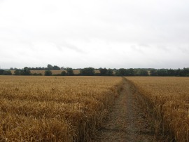 Path heading down from Vicarage Lane