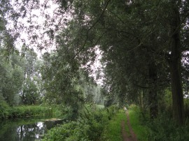 Chelmer and Blackwater Navigation