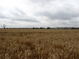 View back to the new housing estate