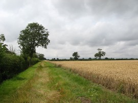 Path behind New Hall School