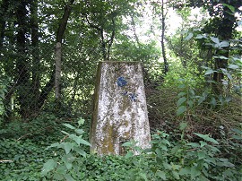 Trig point S3872