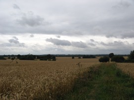 Path nr Brickbarns Farm