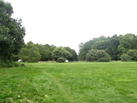 Back at Galleywood Common