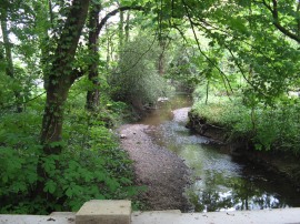 Dollis Brook