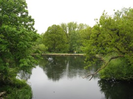 Viaduct Pond